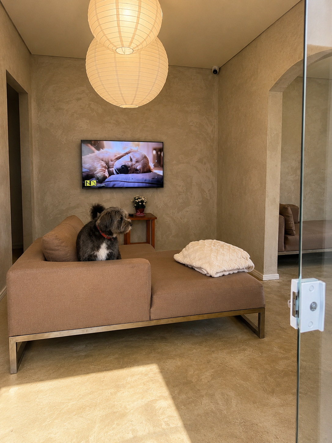 Pet House